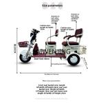 High-Power Electric Tricycle for Passengers and Cargo