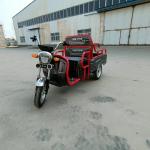 National Standard Small Electric Cargo Tricycle
