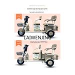 High-Power Electric Tricycle for Passengers and Cargo