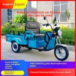 LYN Three-Wheel eBike for Agricultural Use