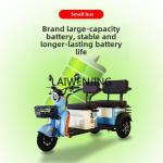 LYN Electric Tricycle for Kids and Cargo