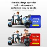 LYN Electric Tricycle for Kids and Cargo