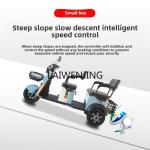 LYN Electric Tricycle for Kids and Cargo