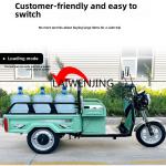 LYN Three-Wheel eBike for Agricultural Use