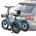 ABORON Heavy-Duty Hitch Rack for Fat Tire Trikes