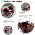 20-Inch 3-Wheel Tricycle for Cargo and Passengers