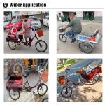 20-Inch 3-Wheel Tricycle for Cargo and Passengers