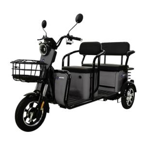 Massimo 800W Three-Wheel Electric Trike for 3