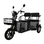 Massimo 800W Three-Wheel Electric Trike for 3