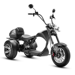 eAhora M1P Electric Trike with Powerful 2000W Motor
