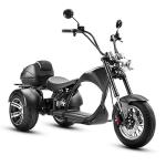 eAhora M1P Electric Trike with Powerful 2000W Motor