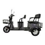 Massimo 800W Three-Wheel Electric Trike for 3
