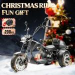 eAhora M1P Electric Trike with Powerful 2000W Motor