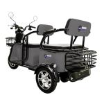 Massimo 800W Three-Wheel Electric Trike for 3