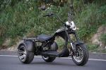 eAhora M1P Electric Trike with Powerful 2000W Motor