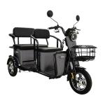 Massimo 800W Three-Wheel Electric Trike for 3