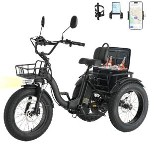 Skeri 750W Folding Electric Tricycle for Adults