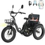 Skeri 750W Folding Electric Tricycle for Adults