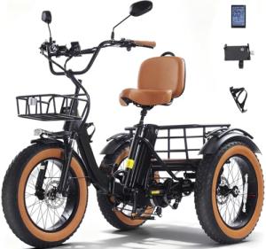 KAKIGO 1350W Electric Tricycle with Fat Tires