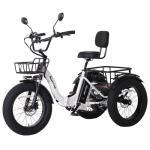 NARRAK Folding Electric Tricycle with Fat Tires