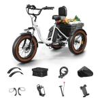 20" Fat Tire Electric Tricycle for Adults
