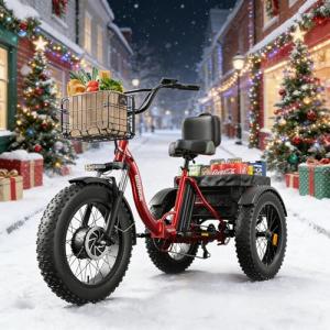 QRONGE 960W Folding Electric Tricycle for Adults