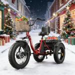 QRONGE 960W Folding Electric Tricycle for Adults