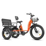 MAXFOOT MF33 750W Electric Trike for Adults