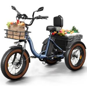 20" Fat Tire Electric Tricycle for Adults