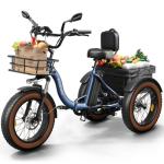 20" Fat Tire Electric Tricycle for Adults