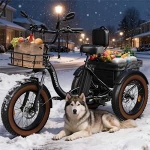 PUCKIPUPPY 960W Electric Adult Tricycle, 20MPH