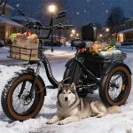 PUCKIPUPPY 960W Electric Adult Tricycle, 20MPH