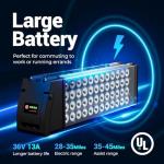 Geemax 500W Fat Tire Electric Tricycle for Adults