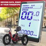 Ontrip 750W Folding Electric Tricycle for Adults