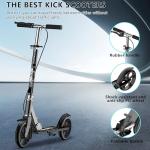 Foldable Scooter for Kids and Teens, 220 LB Capacity