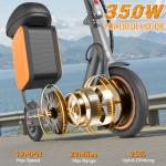 Aovowheel Folding Electric Scooter with 350W Motor