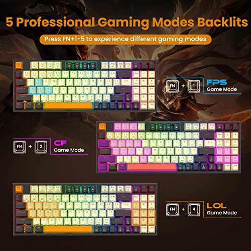 Redragon RGB Backlit Mechanical Gaming Keyboard, Compact (K636CLO)