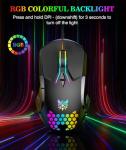 Ergonomic RGB Wired Gaming Mouse with Adjustable DPI