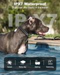 Jugbow Waterproof Dog Training Collar with Remote