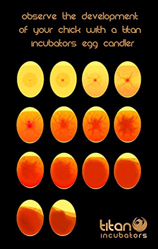 High Intensity LED Chicken Egg Candler Tester