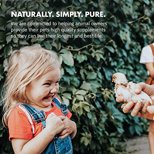 Equa Holistics HealthyGut Probiotics - All-Natural Chicken Supplement