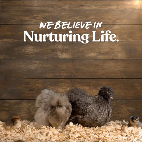 Omega Egg Maker - Feed Supplement for Laying Hens