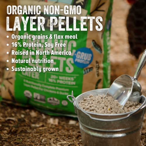 Organic Layer Pellets - High-Quality Chicken Feed