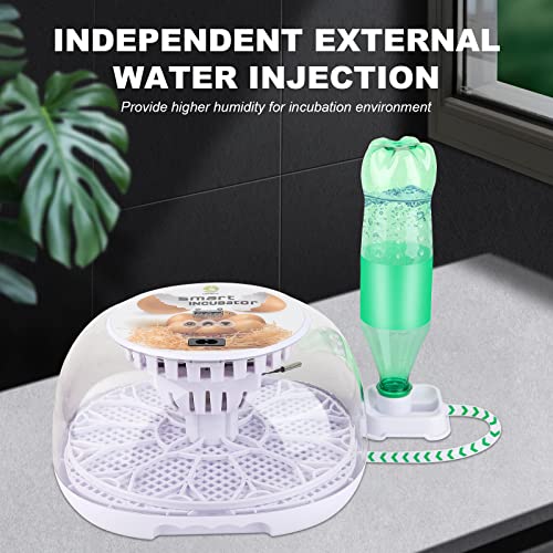 Safego Egg Incubator for Hatching Chicken Quail Duck