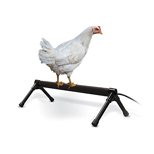 K&H Thermo-Chicken Perch - Warming Chicken Heater