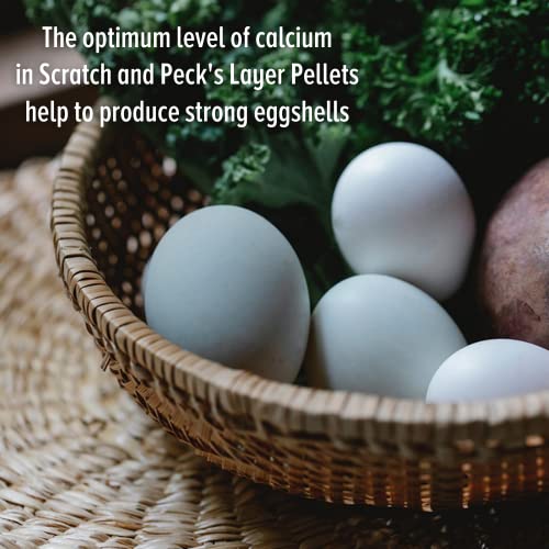 Organic Layer Pellets - High-Quality Chicken Feed