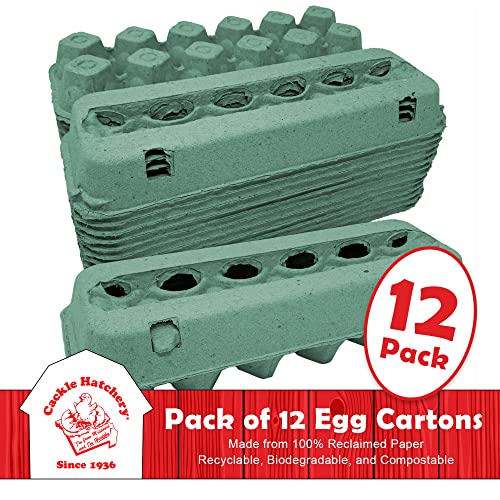 Teal Vented Egg Cartons for Chickens (12)