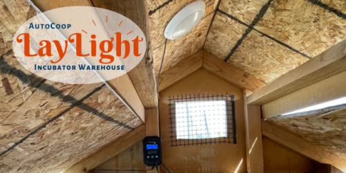 AutoCoop LayLight - Boosts Chicken Egg Production