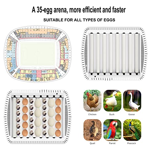 35-56 Egg Automatic Incubator for Chickens, Ducks, Quails