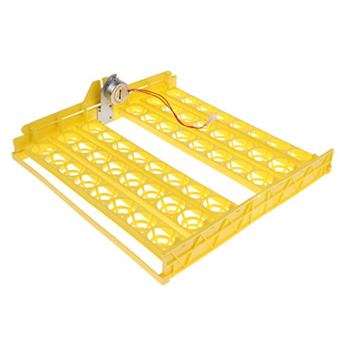 48-digital Auto Egg Turner for Chickens